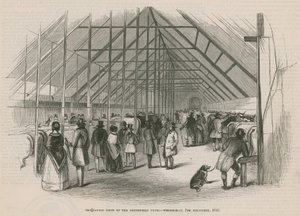 The Cattle Show af Smithfield Club