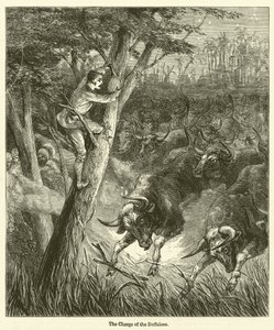 The Charge of the Buffaloes (kobberstik) af English School