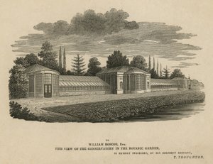 Konservatoriet i den botaniske have, Kew, London af English School