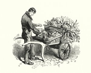The Costermonger (gravering) af English School