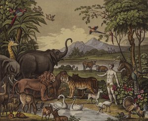 Die Schöpfung von English School