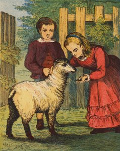 Lammet "Gøgen" (farvelitografi) af English School