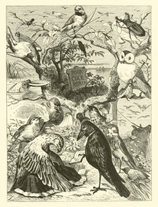 Cock Robins død og begravelse af English School