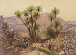 Die Wüste Sinai