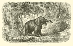 The Dinothere, restaureret (gravering) af English School