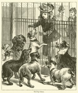 The Dogs