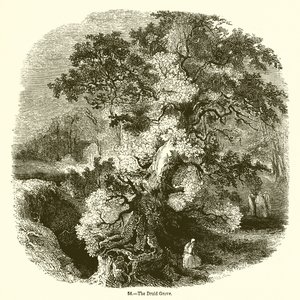 Druidelunden af English School