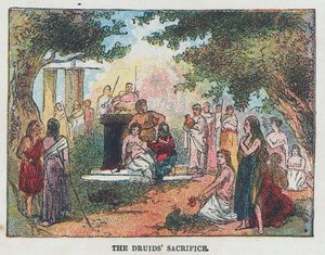 Druidens offer af English School