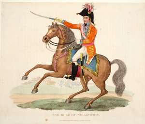 The Duke of Wellington, pub. af Richard Evans, engr Romney, illustration fra An Historical Account of the Battle of Waterloo af William Mudford, 1816 af English School