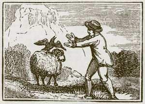 Ørnen og kragen (kobberstik) af English School