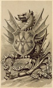 The Emblem of Wales (litho) af English School