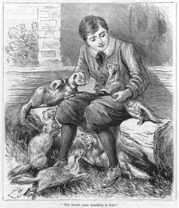 "Fritterne kom springende hen til ham" (kobberstik) af English School