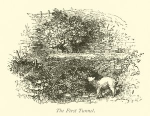 Der erste Tunnel von English School