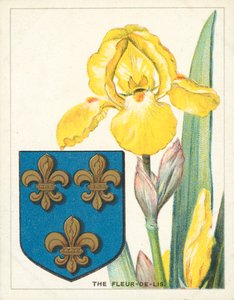 Fleur-de-lis (kromolitho) af English School