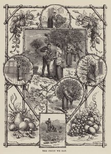 Frugten vi spiser (gravering) af English School