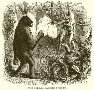 Gorillaen marcherer over os af English School
