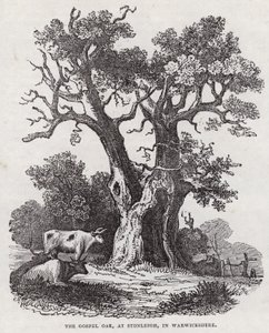 The Gospel Oak, Stonleigh, Warwickshire (gravering) af English School