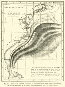 The Gulf Stream  af English School