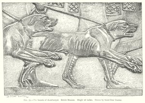 Assurbanipals hunde. British Museum (gravering) af English School