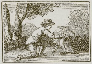Husmanden og storken (kobberstik) af English School