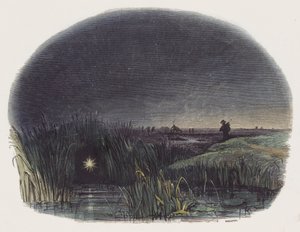 Ignis-Fatuus eller Will-o