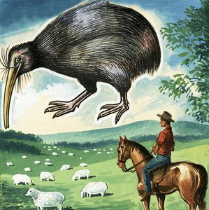 Kiwi, New Zealands emblem af English School