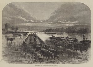The Land of Oil, transport af tønder på Oil Creek (gravering) af English School