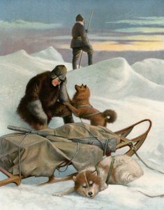 De sidste overlevende af English School