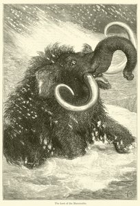 The Last of the Mammoths (gravering) af English School