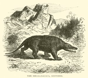Megalosaurus, restaureret (gravering) af English School