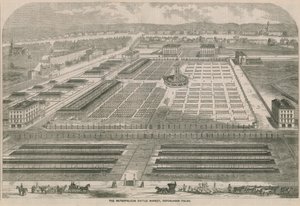 The Metropolitan Cattle Market, Copenhagen Fields, London af English School