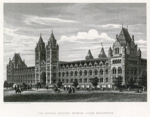 Det Naturhistoriske Museum, 1881 af English School