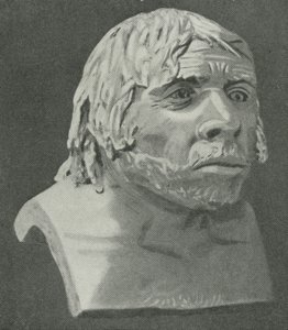 Neandertalermanden fra La Chapelle-aux-Saints af English School
