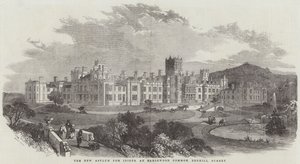 The New Asylum for Idiots, Earlswood Common, Redhill, Surrey (gravering) af English School