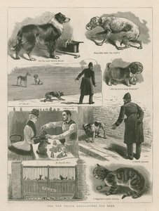 De nye politivedtægter for hunde af English School