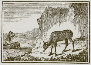Den enøjede hind (gravering) af English School