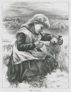 Kæledyrslammet (gravering) af English School