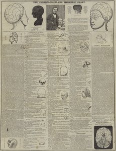Det frenologiske og mesmeriske diagram af English School