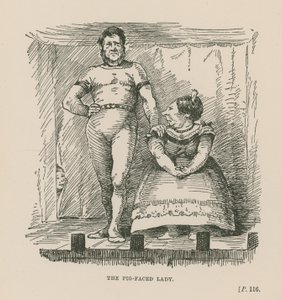 Damen med svineansigt af English School