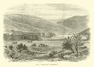 Salomons damme af English School