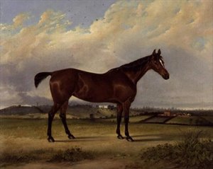 Staldens stolthed af English School