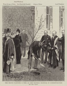 Prinsen planter et træ på Victoria Hospital til minde om hans besøg (gravering) af English School
