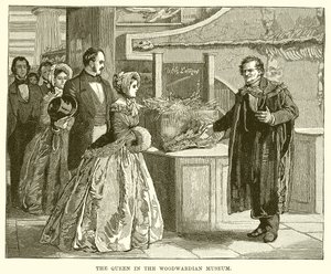 Dronningen i Woodwardian Museum af English School