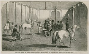 Dronningen ser på de arabiske heste, der blev præsenteret for hendes Majestæt, i ridehuset ved Pimlico af English School