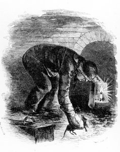 Kloakkernes rottefangere, illustration fra 