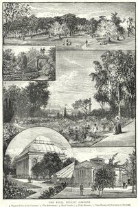 Den Kongelige Botaniske Have (gravering) af English School