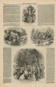 Den Kongelige Botaniske Have af English School