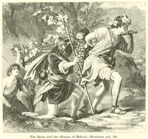 The Spies and the Grapes of Eshcol, Numbers, xiii, 23 af English School