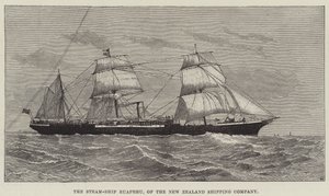 Steam-Ship Ruapehu, fra New Zealand Shipping Company (gravering) af English School