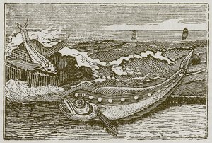 Kaninen og delfinen (kobberstik) af English School